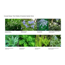 Planting plan for walled garden