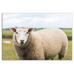 DDCG - Sheep Landscape Photography 24x36 Canvas Wall Art - With a touch of rustic, a dash of industrial, and a pinch of modern elegance, this wall art helps you create a warm and welcoming space in your home. Digitally printed on demand with custom-developed inks, this  design displays vibrant colors proven not to fade over extended periods of time. The result is a beautiful piece of artwork worthy of showcasing in your home.