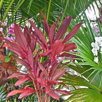 Garden Designs