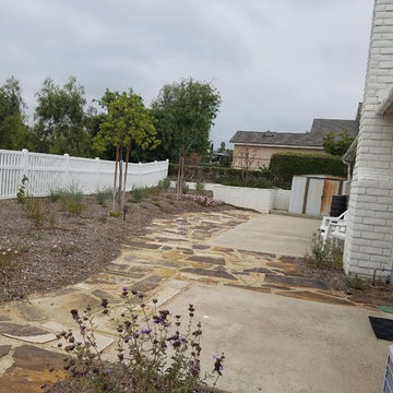 Mission Viejo Back Yard