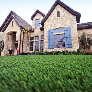 SYNLawn | Close-up Shots