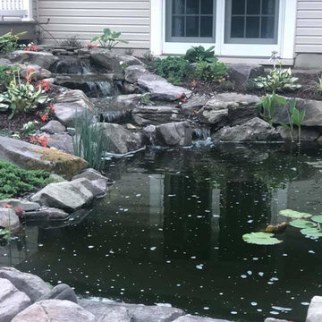 New 11x16' Backyard Ecosystem Pond in Berlin, NJ