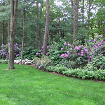 Sanctuary Gardens