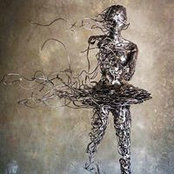 Sara Brixius-Rimer's photo