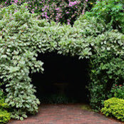 Margaret Lon-Britton's photo