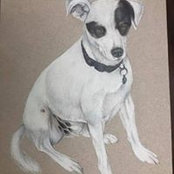 Michelle Tuddenham's photo