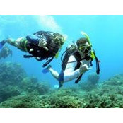 Frank Holiber's photo