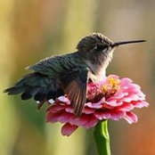 Sandy Paskaryk's photo