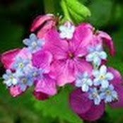 Kristina Stroik's photo