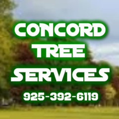 Concord Tree Services