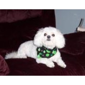 Mary Aronhalt's photo