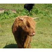 Alex Bertie's photo