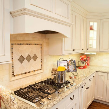 Italian Contemporary Kitchen in Hoffman Estates