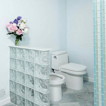 Glass Block Walls & Windows Highlight Modern Bath Remodel