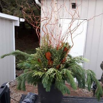 Festive Installations