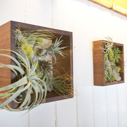 Vertical Gardens - Products