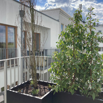 Sichtschutz mit größteils immergrüner Bepflanzung