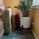 Image of product in user's home.