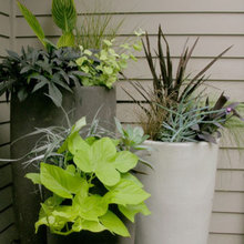 Container Gardens/ Landscaping