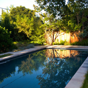 Geometry Overgrown: a Modern Pool & Landscape