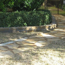 Landscape/Courtyard