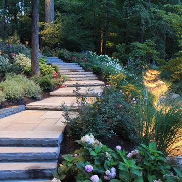 Backyard Escape