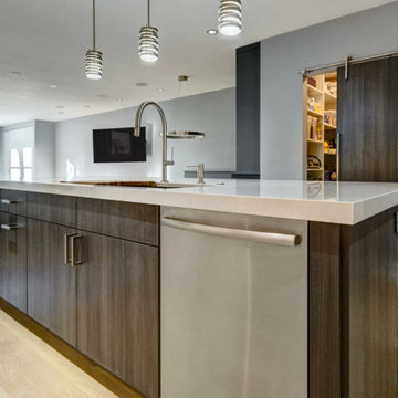 Contemporary kitchen cabinets