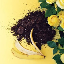 Homemade Plant Fertilizers