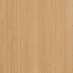 Contemporary Door Styles - Kitchen Cabinetry