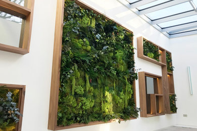 Bespoke Biophilic Preserved Moss Wall Frame