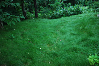 Design ideas for a rustic landscaping in Other.