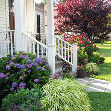 Front yard