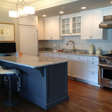 Luxury Condo Kitchen Variations