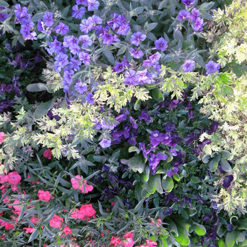 Miscellaneous Gardens and Pretty Things