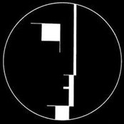 Maor Malki's photo