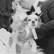 Ariana Mormino's photo