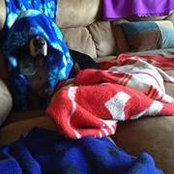 Elizabeth Bliss-Jenkins's photo