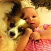 Niki Patrick's photo
