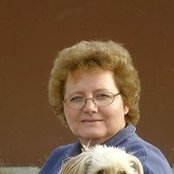 Sandi Shuff's photo
