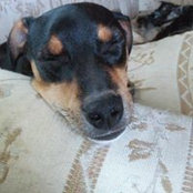 Bruce Brink's photo