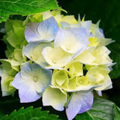 Kathy Del Grande's photo