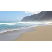 Maddie Giacalone's photo