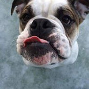 Travis Dacey's photo