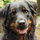 lori_welles