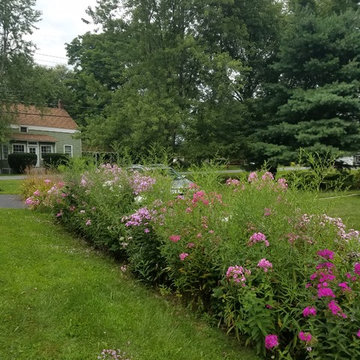 Low Maintenance Wildlife Garden in New York's Capitol Region
