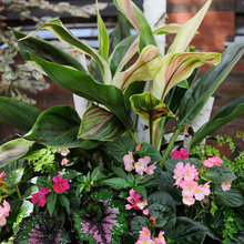 flower pots