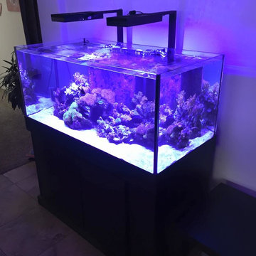 DSA Rimless Aquarium