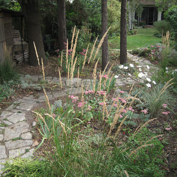 Le jardin sec