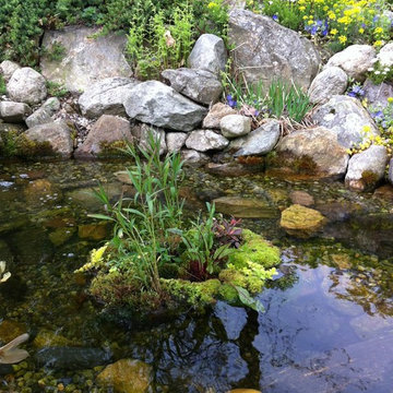 Water Gardening