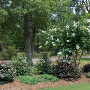 W Wilson Creek Dr.